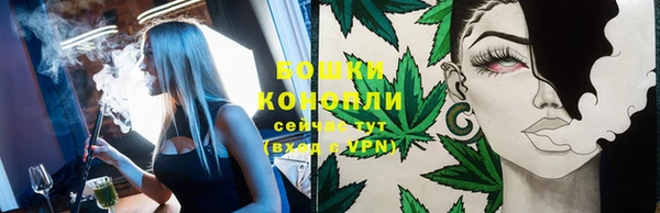 прущие грибы Верхний Тагил