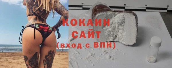 стаф Вязьма