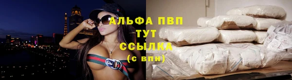 амф Верея