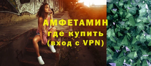 стаф Вязьма
