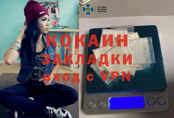 амф Верея