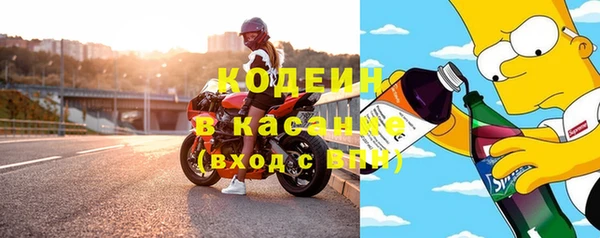 стаф Вязьма