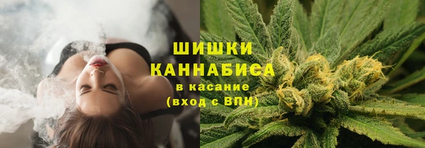 прущие грибы Верхний Тагил