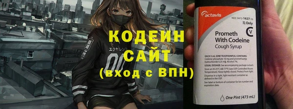 стаф Вязьма