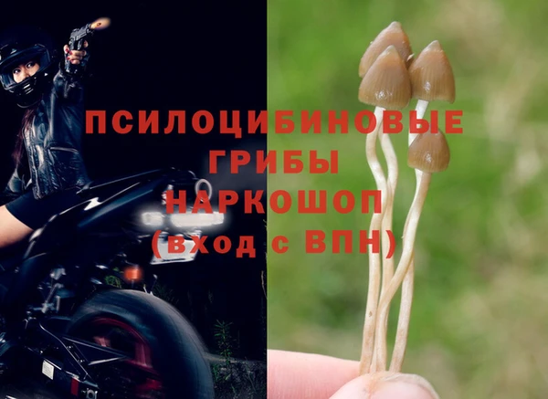 амф Верея